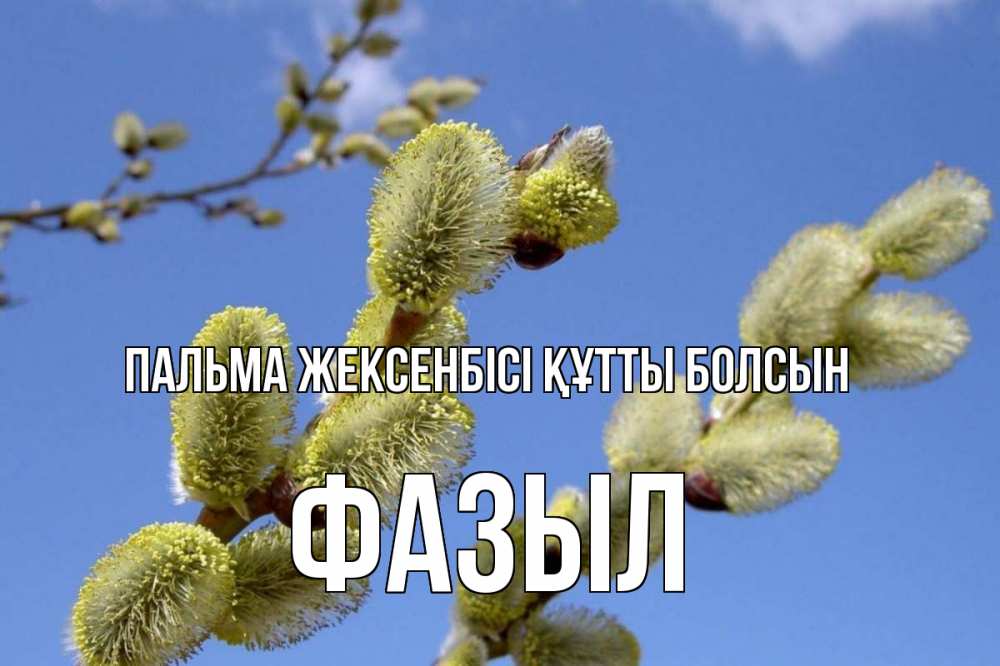 Күн сайын ашық хат с именем, ФАЗЫЛ Пальма жексенбісі құтты болсын верба Онлайн тегін жүктеп алу тілектері бар керемет карта 