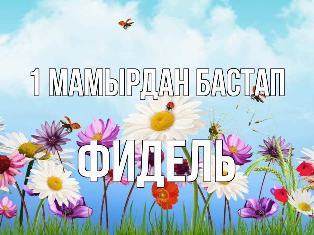 Күн сайын ашық хат с именем, Фидель 1 мамырдан бастап С 1 мая Онлайн тегін жүктеп алу тілектері бар керемет карта 