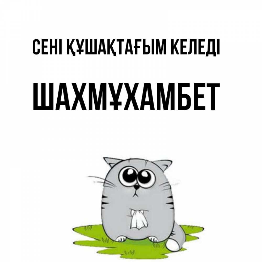 Күн сайын ашық хат с именем, ШАХМҰХАМБЕТ сені құшақтағым келеді котик теребит платочек сидя на травке Онлайн тегін жүктеп алу тілектері бар керемет карта 