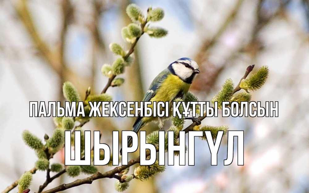 Күн сайын ашық хат с именем, ШЫРЫНГҮЛ Пальма жексенбісі құтты болсын верба Онлайн тегін жүктеп алу тілектері бар керемет карта 