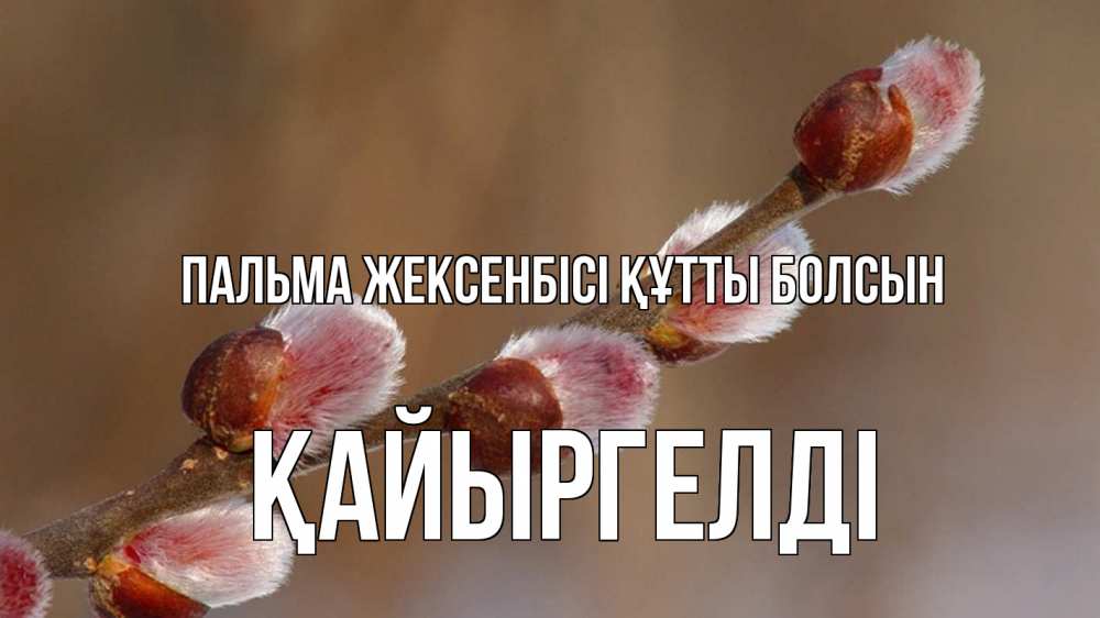 Күн сайын ашық хат с именем, Қайыргелді Пальма жексенбісі құтты болсын верба Онлайн тегін жүктеп алу тілектері бар керемет карта 