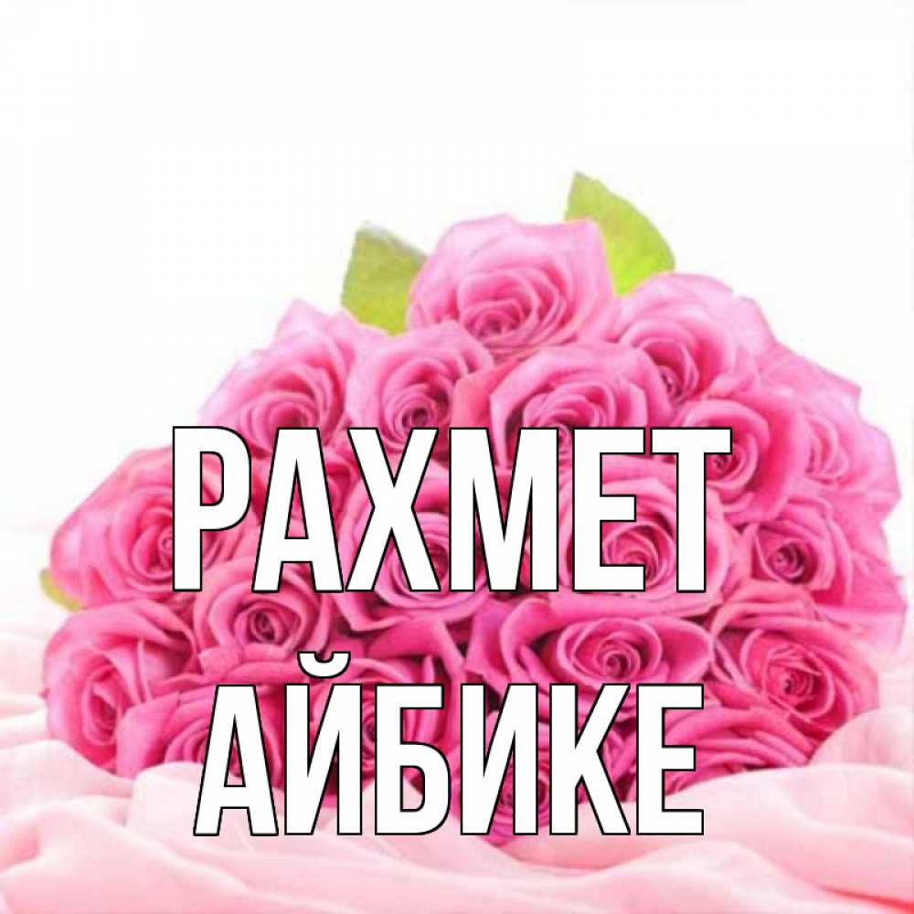 Күн сайын ашық хат с именем, АЙБИКЕ рахмет розовые розы с подписью Онлайн тегін жүктеп алу тілектері бар керемет карта 