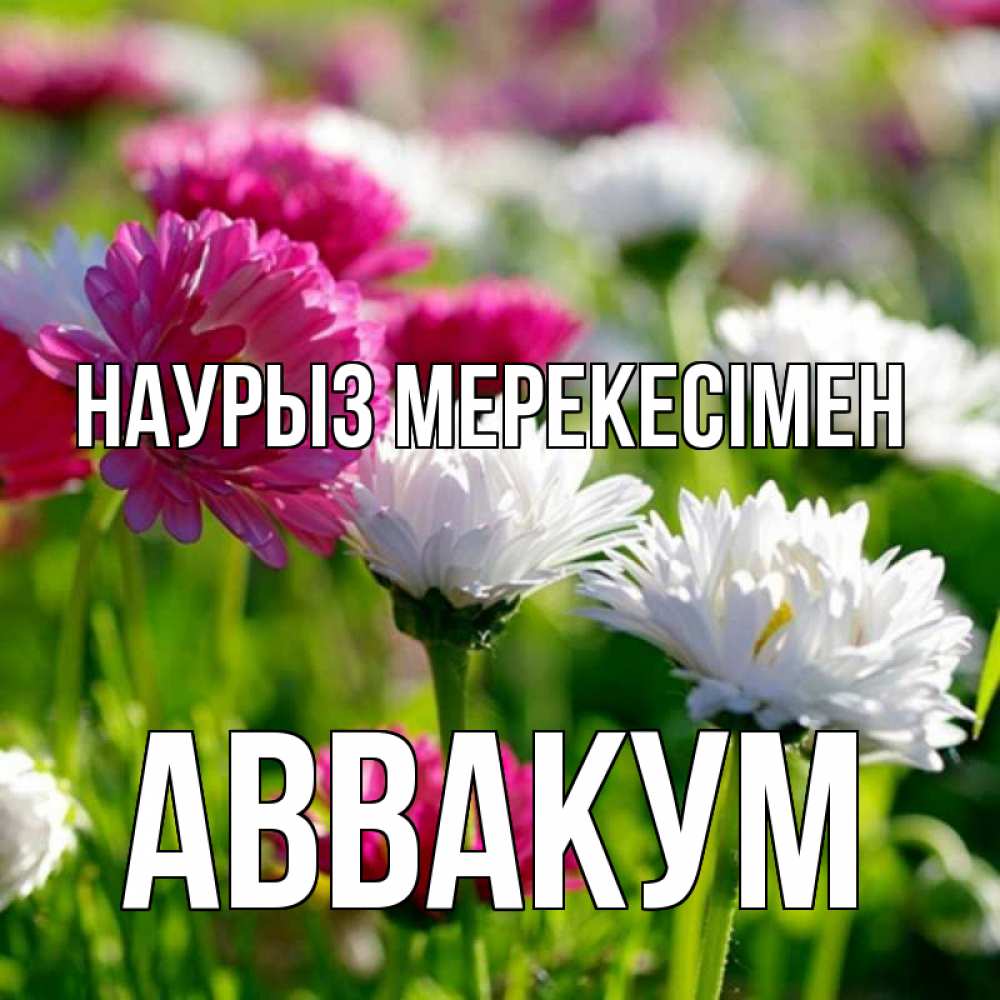 Күн сайын ашық хат с именем, Аввакум Наурыз мерекесімен праздник весны наурыз красота Онлайн тегін жүктеп алу тілектері бар керемет карта 