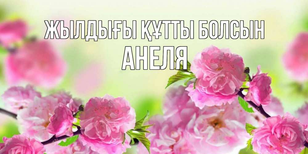 Күн сайын ашық хат с именем, Анеля Жылдығы құтты болсын веточки с цветками Онлайн тегін жүктеп алу тілектері бар керемет карта 