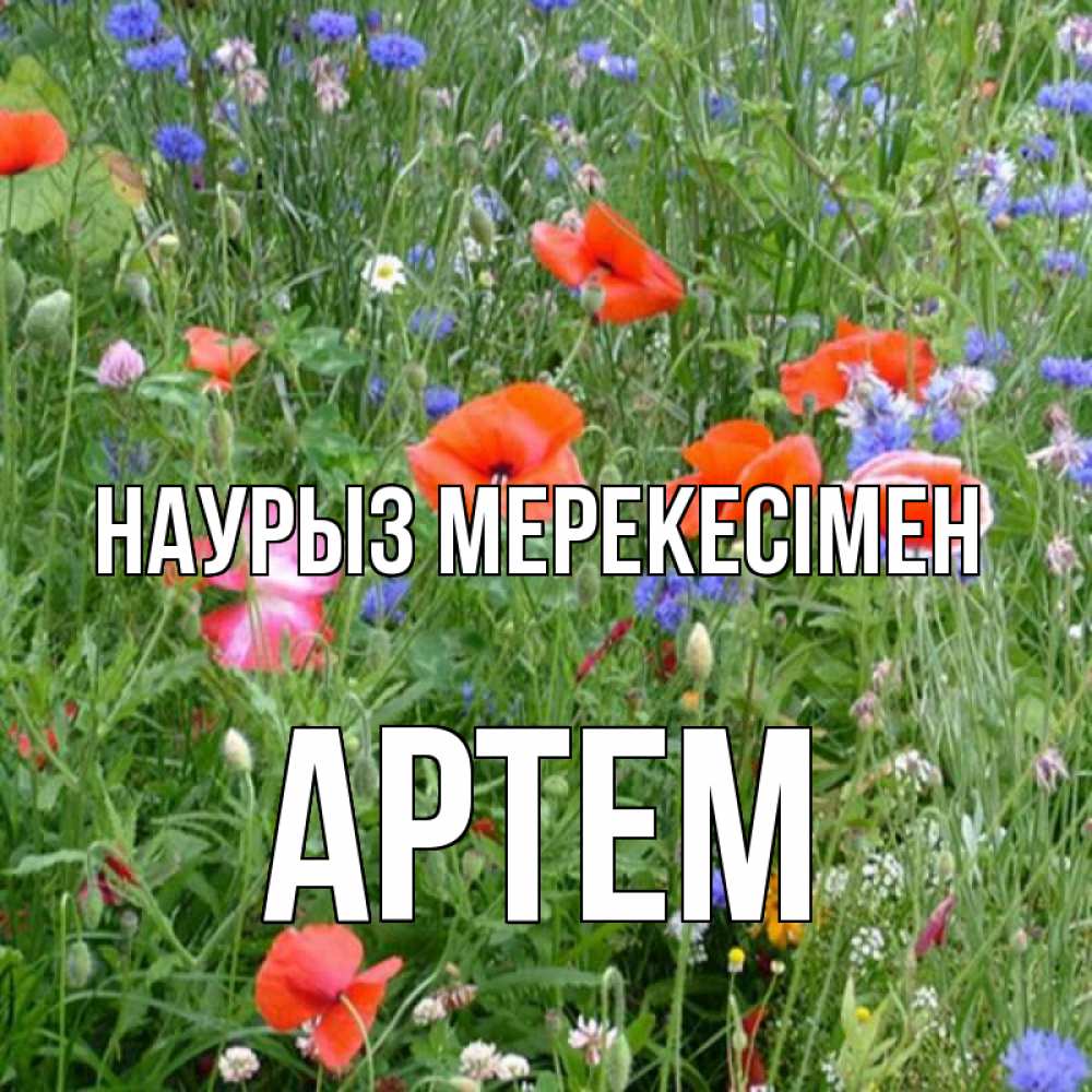 Күн сайын ашық хат с именем, Артем Наурыз мерекесімен праздник весны наурыз супер открытка Онлайн тегін жүктеп алу тілектері бар керемет карта 