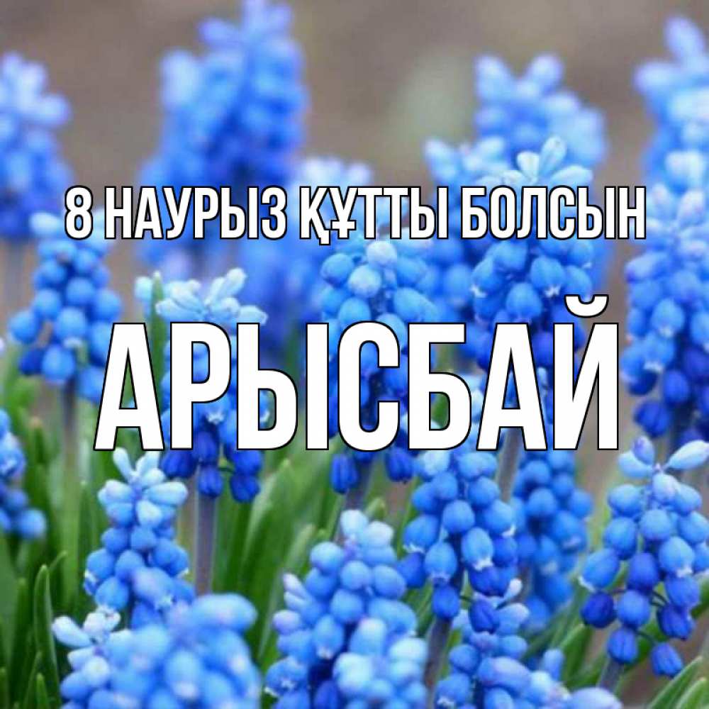 Күн сайын ашық хат с именем, Арысбай 8 наурыз құтты болсын Поздравительная открытка для женщин с цветами на праздничную дату Онлайн тегін жүктеп алу тілектері бар керемет карта 