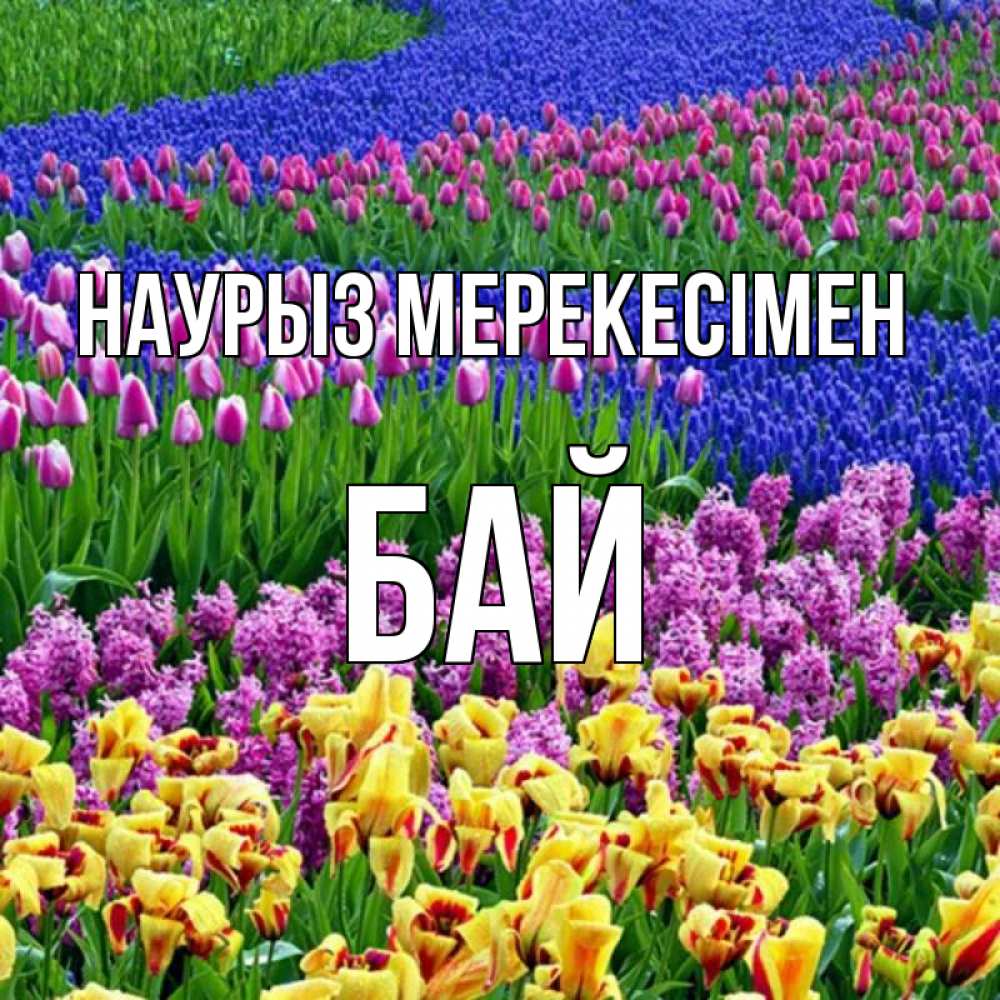 Күн сайын ашық хат с именем, Бай Наурыз мерекесімен цветы Онлайн тегін жүктеп алу тілектері бар керемет карта 