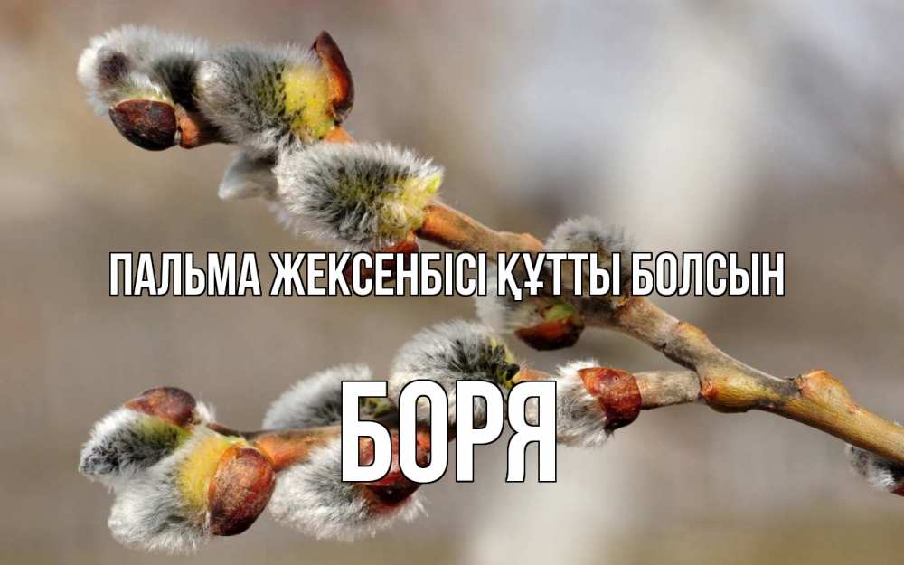 Күн сайын ашық хат с именем, Боря Пальма жексенбісі құтты болсын Верба Онлайн тегін жүктеп алу тілектері бар керемет карта 