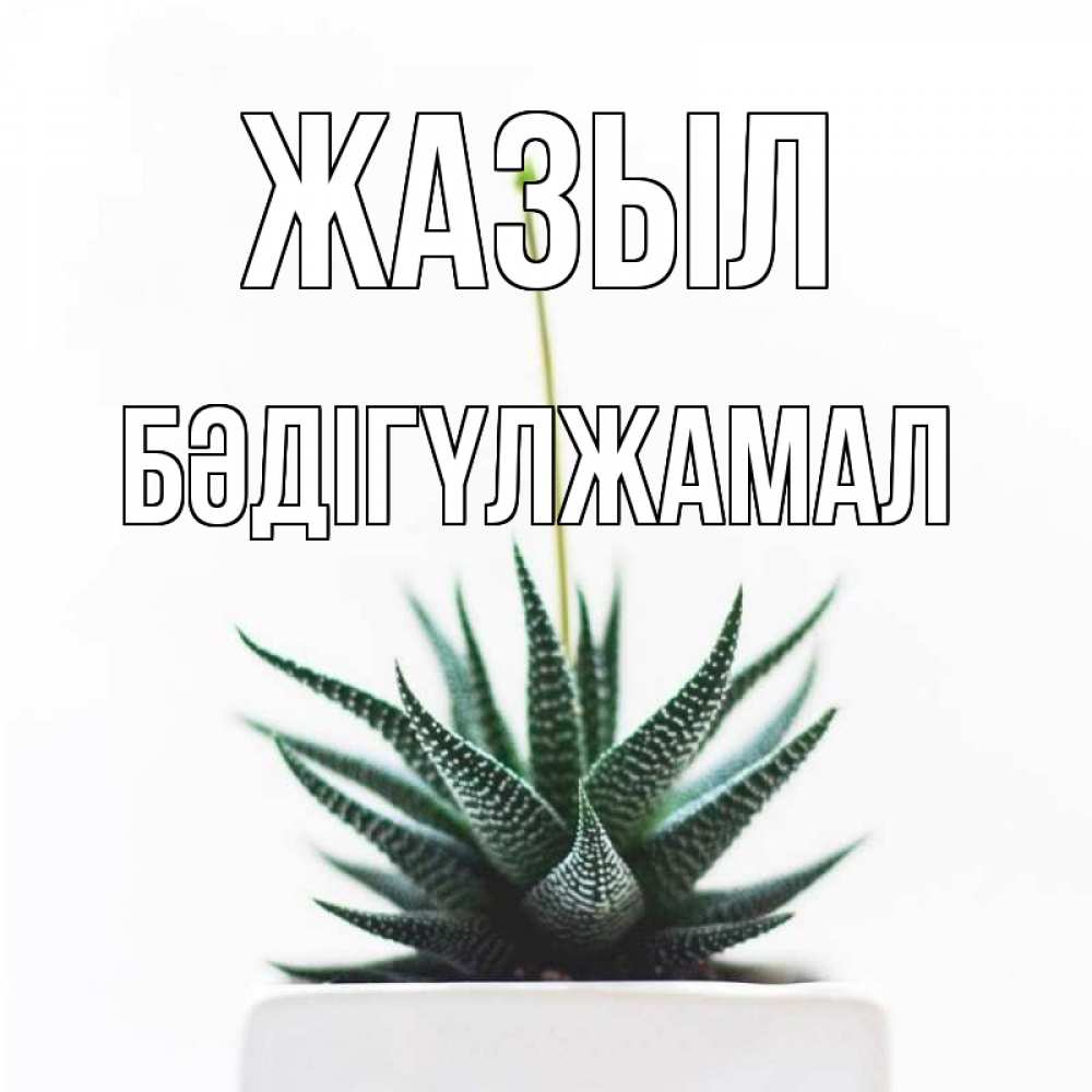 Күн сайын ашық хат с именем, БӘДІГҮЛЖАМАЛ Жазыл короче это непонятная колючка Онлайн тегін жүктеп алу тілектері бар керемет карта 