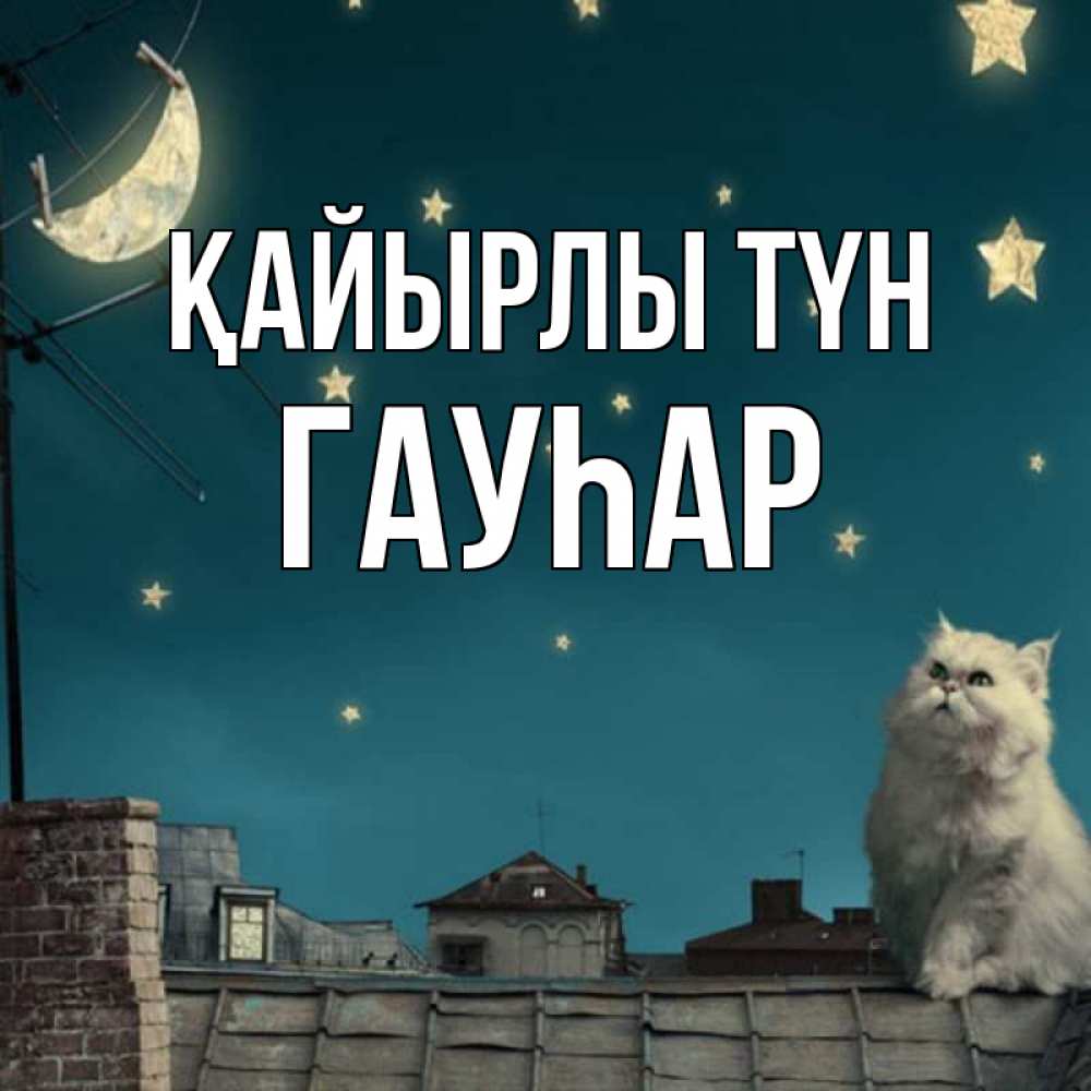 Күн сайын ашық хат с именем, Гауһар Қайырлы түн белый кот сидит на крыше Онлайн тегін жүктеп алу тілектері бар керемет карта 