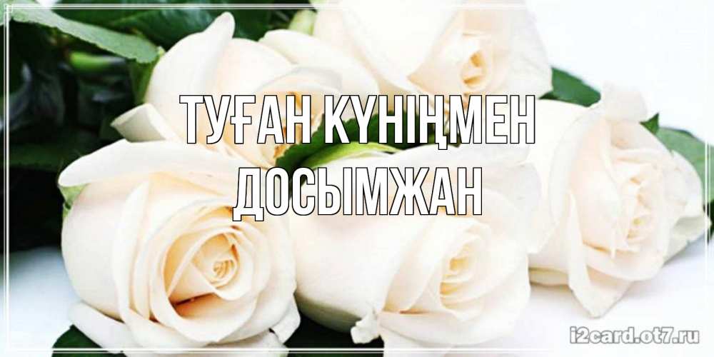 Күн сайын ашық хат с именем, Досымжан Туған күніңмен открытка с красивыми белыми розами для родных Онлайн тегін жүктеп алу тілектері бар керемет карта 