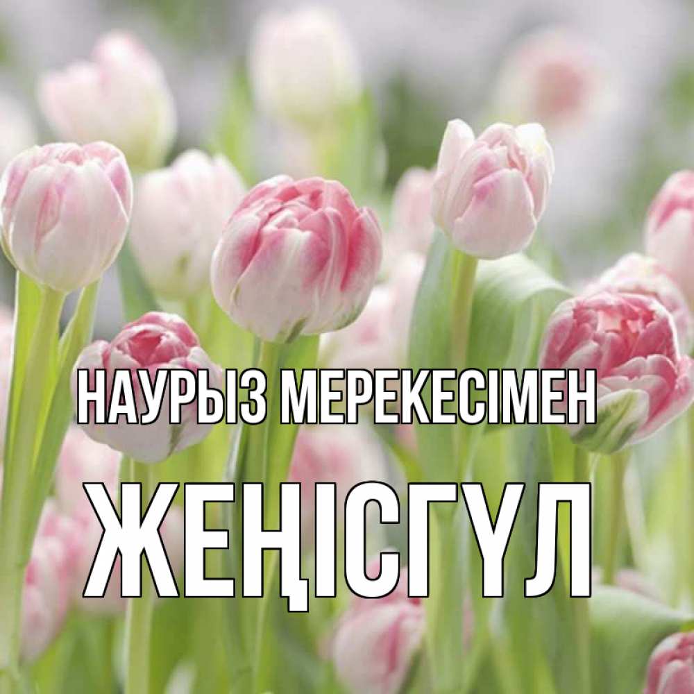 Күн сайын ашық хат с именем, ЖЕҢІСГҮЛ Наурыз мерекесімен цветы Онлайн тегін жүктеп алу тілектері бар керемет карта 