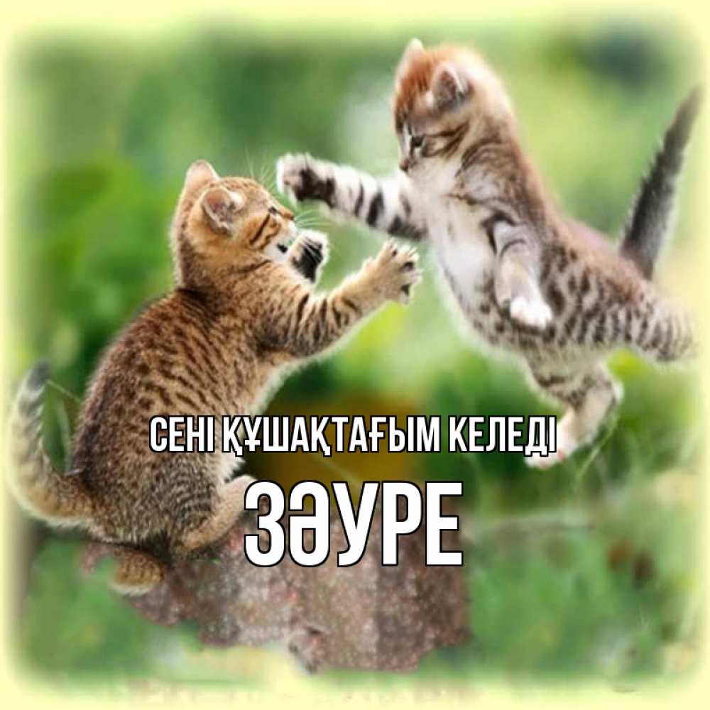 Күн сайын ашық хат с именем, ЗӘУРЕ сені құшақтағым келеді игры котят Онлайн тегін жүктеп алу тілектері бар керемет карта 