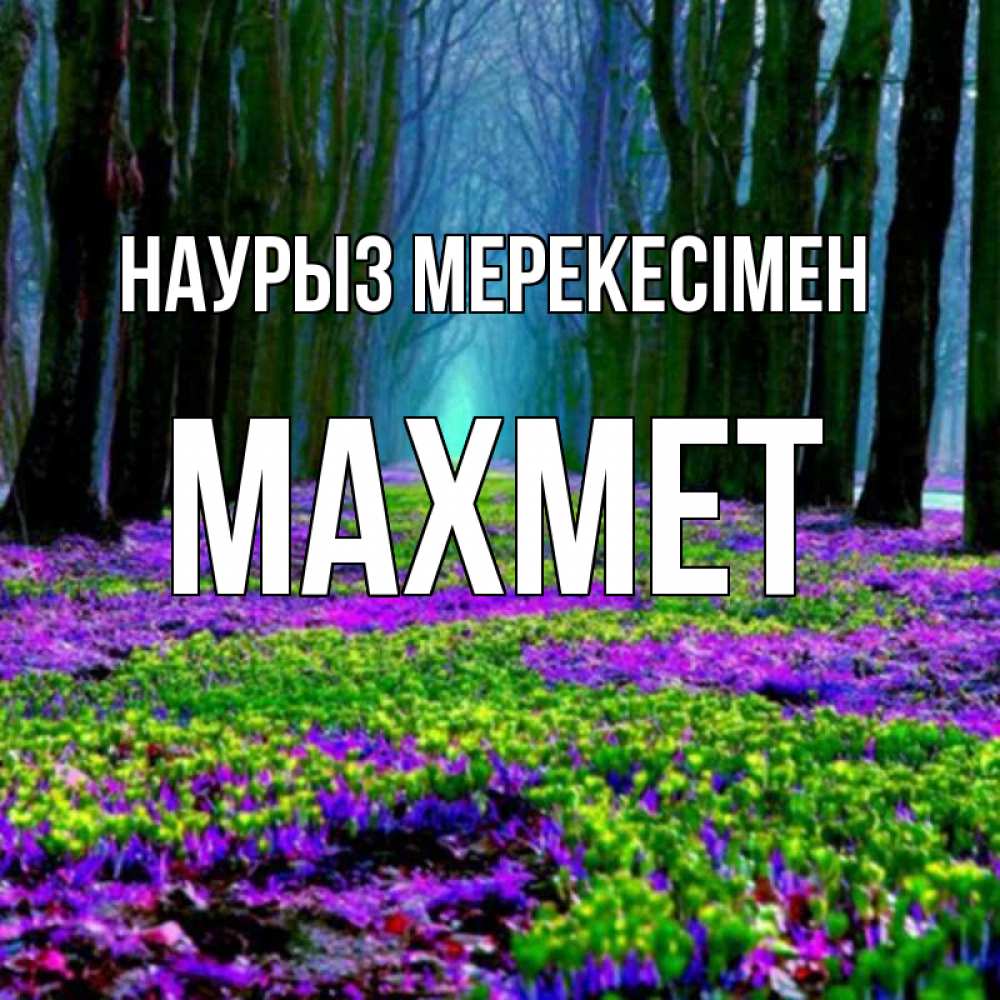 Күн сайын ашық хат с именем, МАХМЕТ Наурыз мерекесімен фиолетовые цветы в лесу 1 Онлайн тегін жүктеп алу тілектері бар керемет карта 
