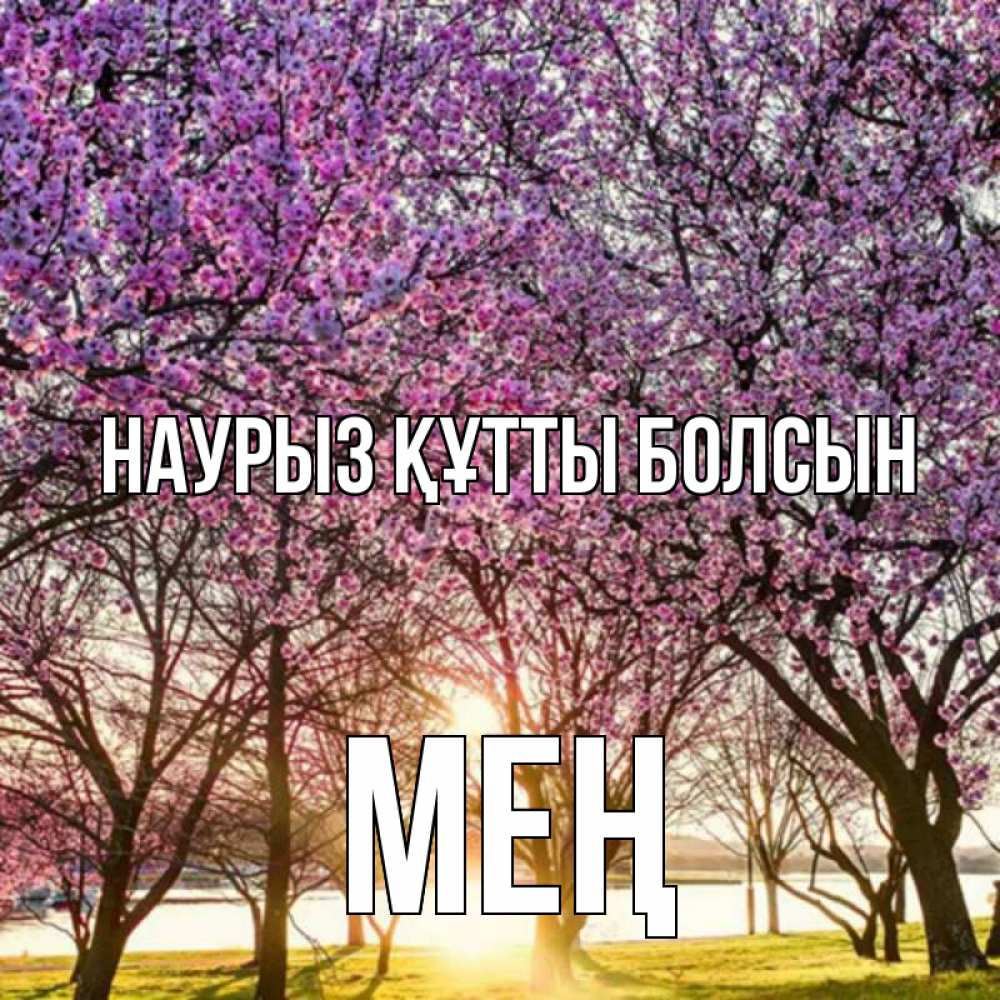 Күн сайын ашық хат с именем, МЕҢ Наурыз құтты болсын наурыз Онлайн тегін жүктеп алу тілектері бар керемет карта 