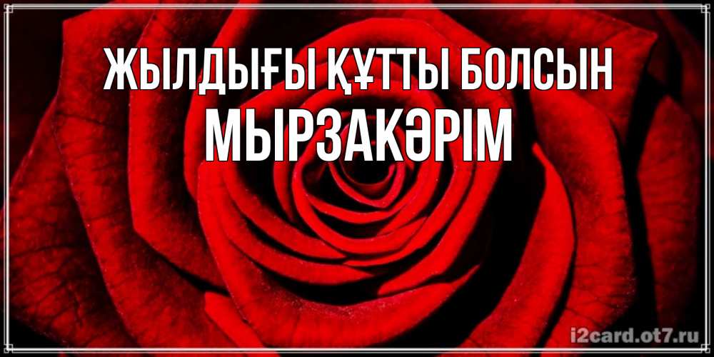 Күн сайын ашық хат с именем, Мырзакәрім Жылдығы құтты болсын алая роза Онлайн тегін жүктеп алу тілектері бар керемет карта 