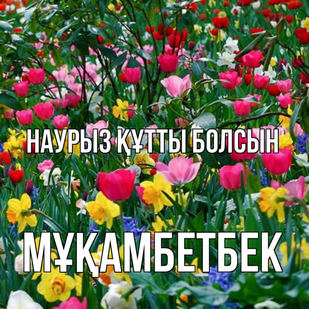 Күн сайын ашық хат с именем, Мұқамбетбек Наурыз құтты болсын с наурызом поздравления для женщины Онлайн тегін жүктеп алу тілектері бар керемет карта 