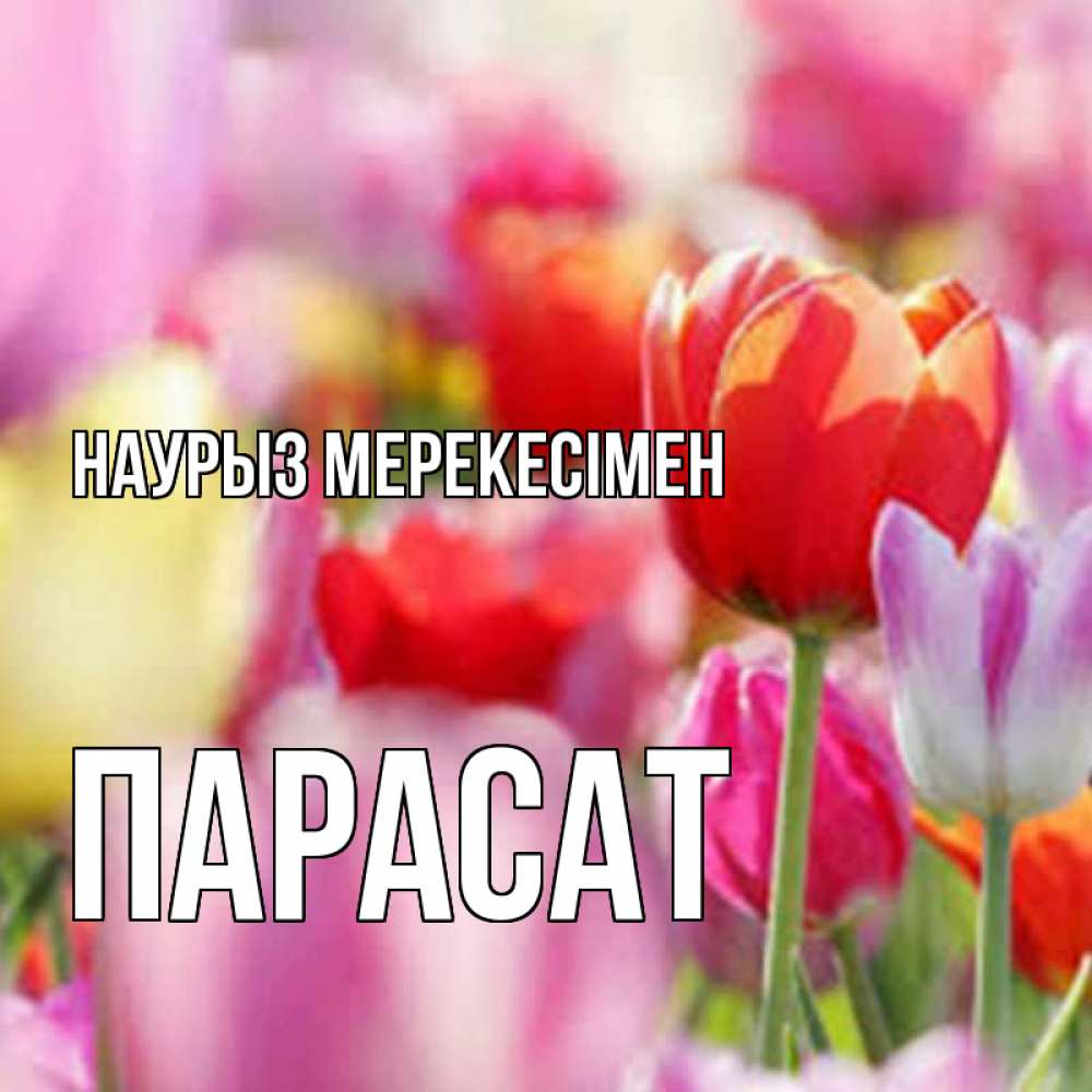 Күн сайын ашық хат с именем, ПАРАСАТ Наурыз мерекесімен праздник весны наурыз 67 Онлайн тегін жүктеп алу тілектері бар керемет карта 