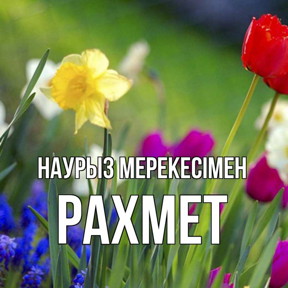 Күн сайын ашық хат с именем, РАХМЕТ Наурыз мерекесімен праздник весны наурыз 3 Онлайн тегін жүктеп алу тілектері бар керемет карта 