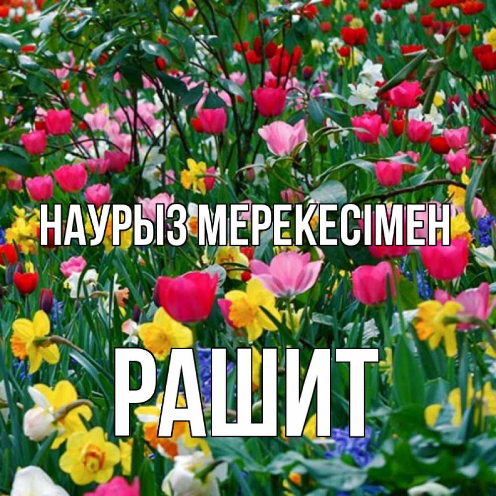 Күн сайын ашық хат с именем, РАШИТ Наурыз мерекесімен с наурызом праздником весны поздравления для женщины Онлайн тегін жүктеп алу тілектері бар керемет карта 