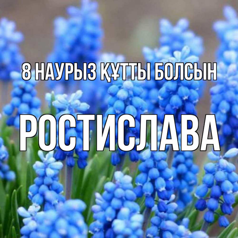 Күн сайын ашық хат с именем, Ростислава 8 наурыз құтты болсын Поздравительная открытка для женщин с цветами на праздничную дату Онлайн тегін жүктеп алу тілектері бар керемет карта 