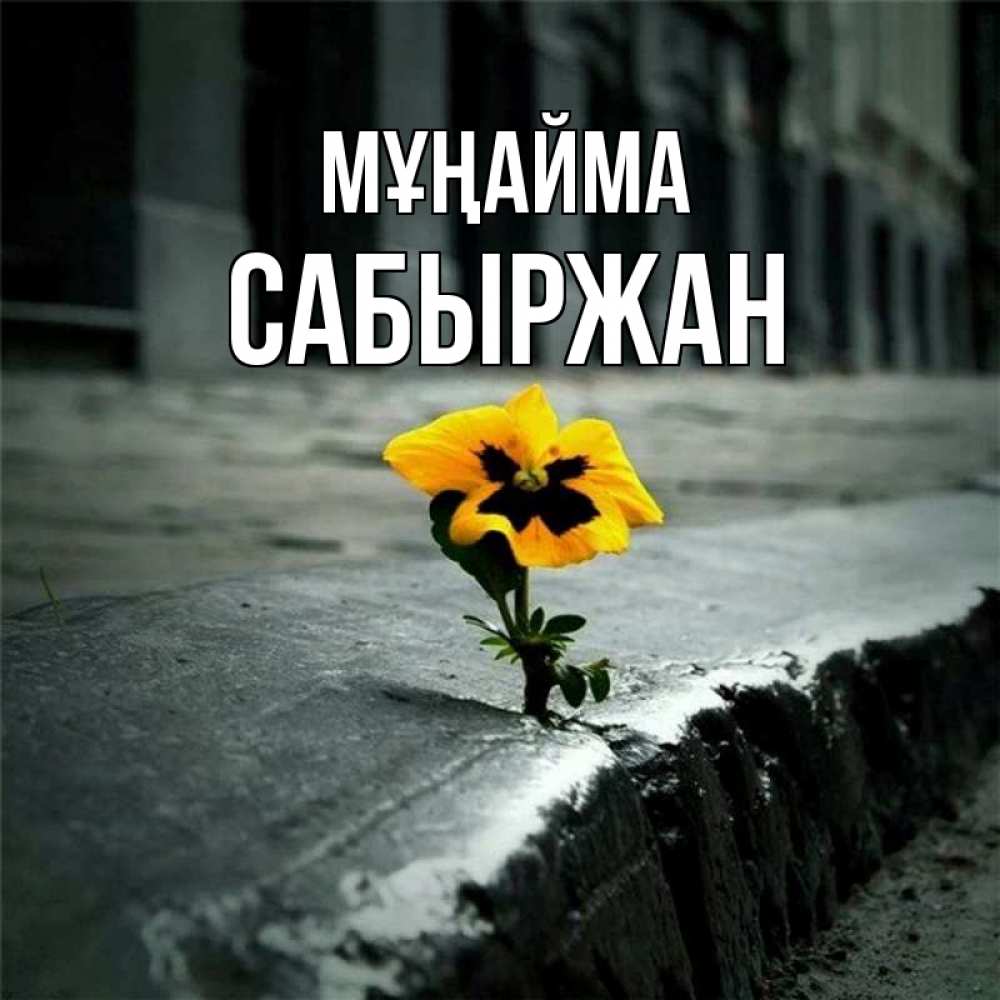Күн сайын ашық хат с именем, САБЫРЖАН Мұңайма не сдавайся Онлайн тегін жүктеп алу тілектері бар керемет карта 