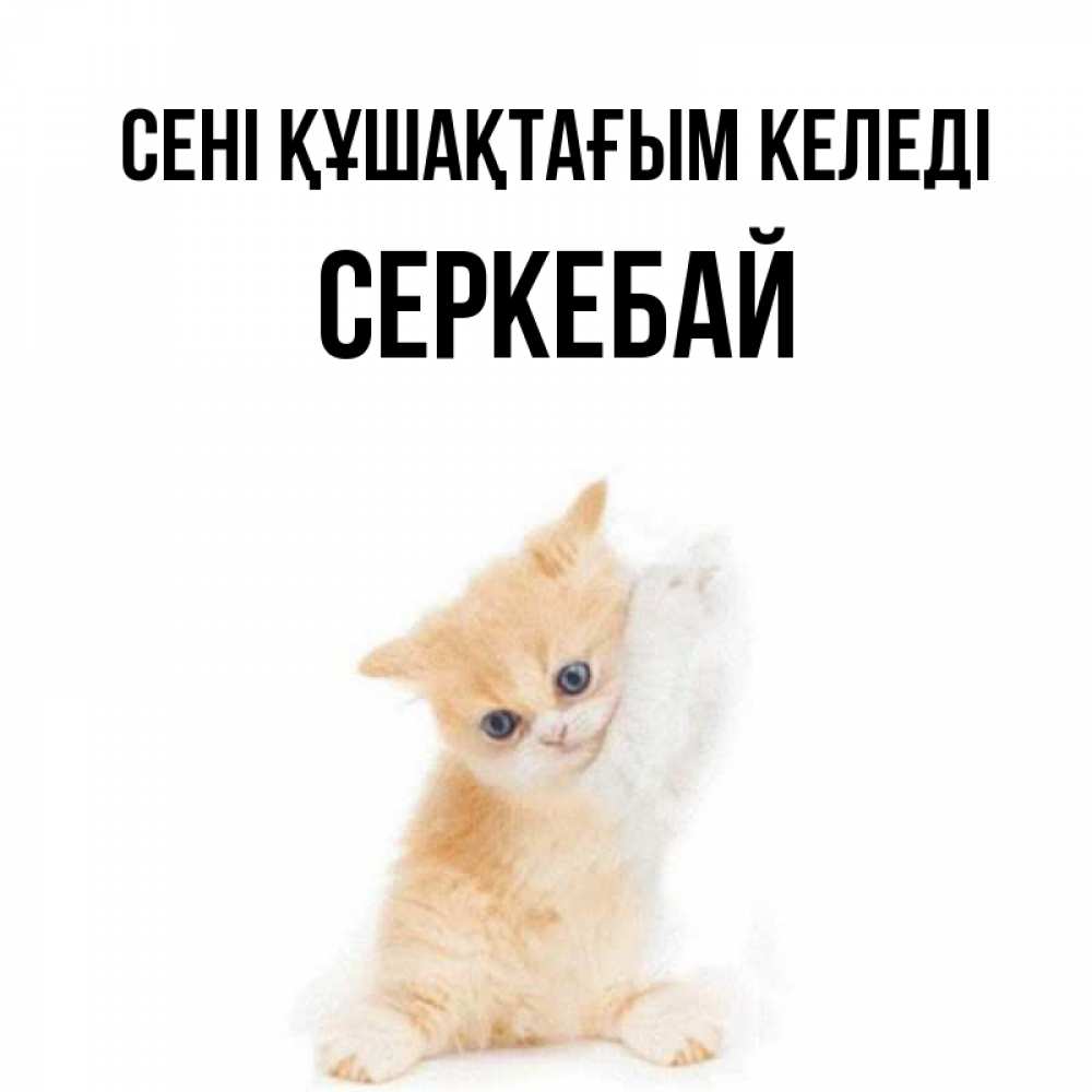 Күн сайын ашық хат с именем, СЕРКЕБАЙ сені құшақтағым келеді я хочу очень скорее обнимаешек Онлайн тегін жүктеп алу тілектері бар керемет карта 
