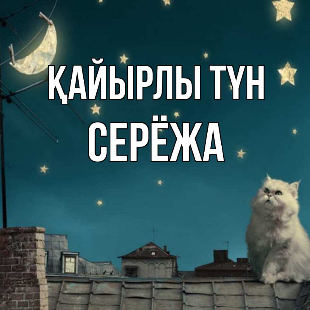 Күн сайын ашық хат с именем, Серёжа Қайырлы түн белый кот сидит на крыше Онлайн тегін жүктеп алу тілектері бар керемет карта 