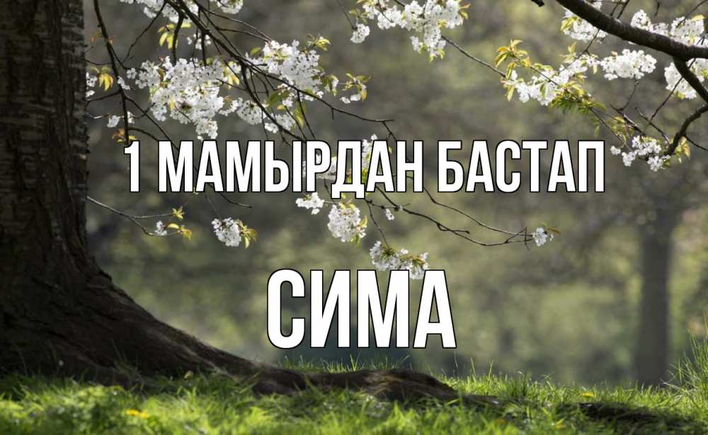 Күн сайын ашық хат с именем, Сима 1 мамырдан бастап С 1 мая Онлайн тегін жүктеп алу тілектері бар керемет карта 