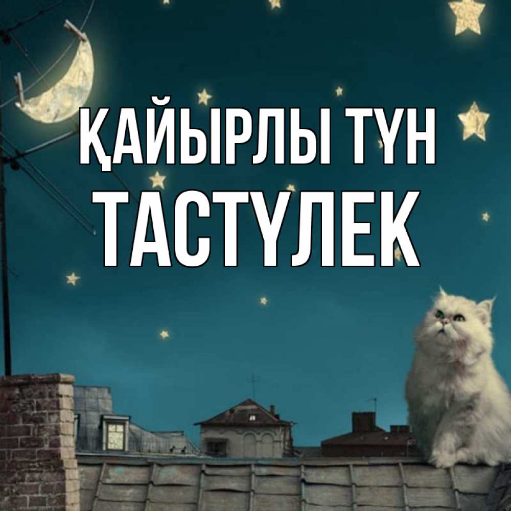 Күн сайын ашық хат с именем, ТАСТҮЛЕК Қайырлы түн белый кот сидит на крыше Онлайн тегін жүктеп алу тілектері бар керемет карта 