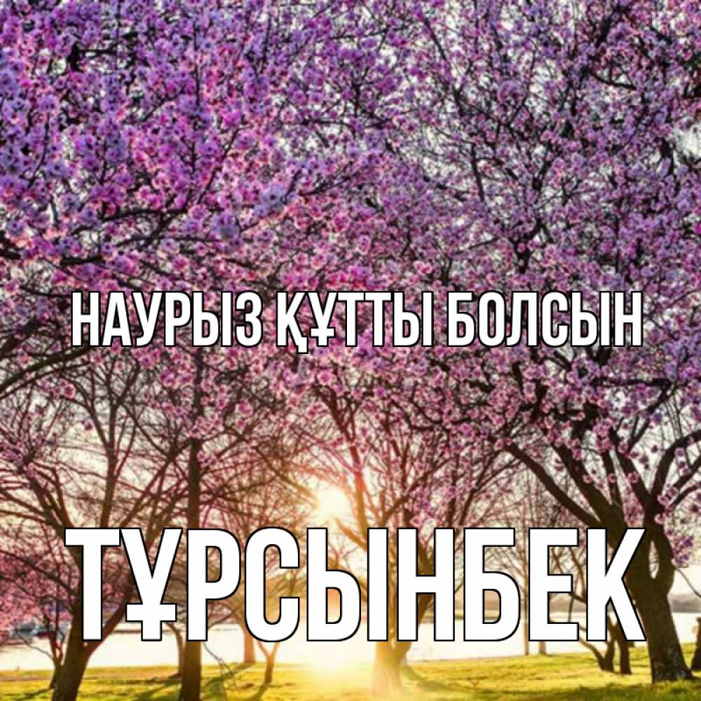 Күн сайын ашық хат с именем, ТҰРСЫНБЕК Наурыз құтты болсын наурыз Онлайн тегін жүктеп алу тілектері бар керемет карта 