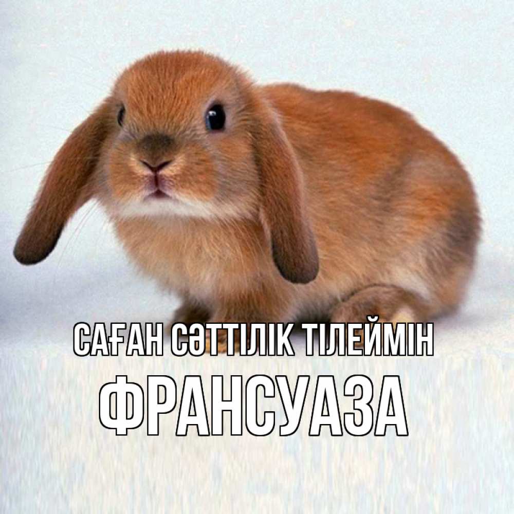 Күн сайын ашық хат с именем, Франсуаза Саған сәттілік тілеймін вставить текст в открытку по выбору Онлайн тегін жүктеп алу тілектері бар керемет карта 