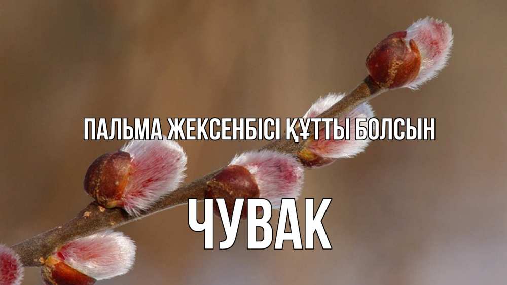 Күн сайын ашық хат с именем, Чувак Пальма жексенбісі құтты болсын верба Онлайн тегін жүктеп алу тілектері бар керемет карта 
