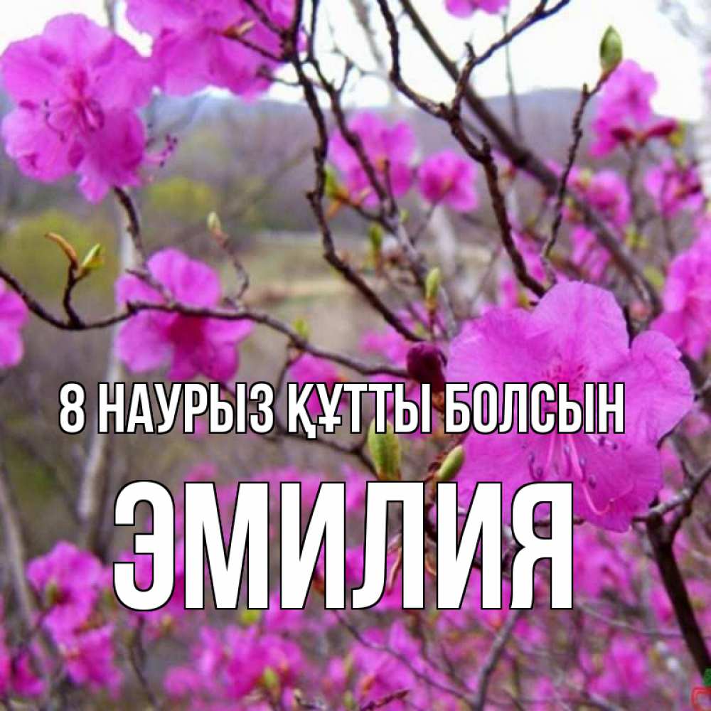 Күн сайын ашық хат с именем, Эмилия 8 наурыз құтты болсын международный женский день Онлайн тегін жүктеп алу тілектері бар керемет карта 