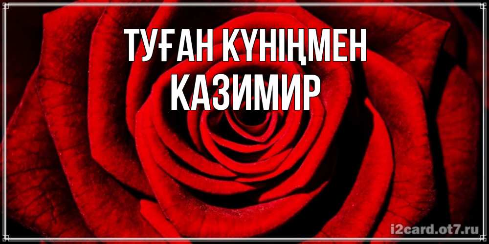 Күн сайын ашық хат с именем, Казимир Туған күніңмен алая роза Онлайн тегін жүктеп алу тілектері бар керемет карта 