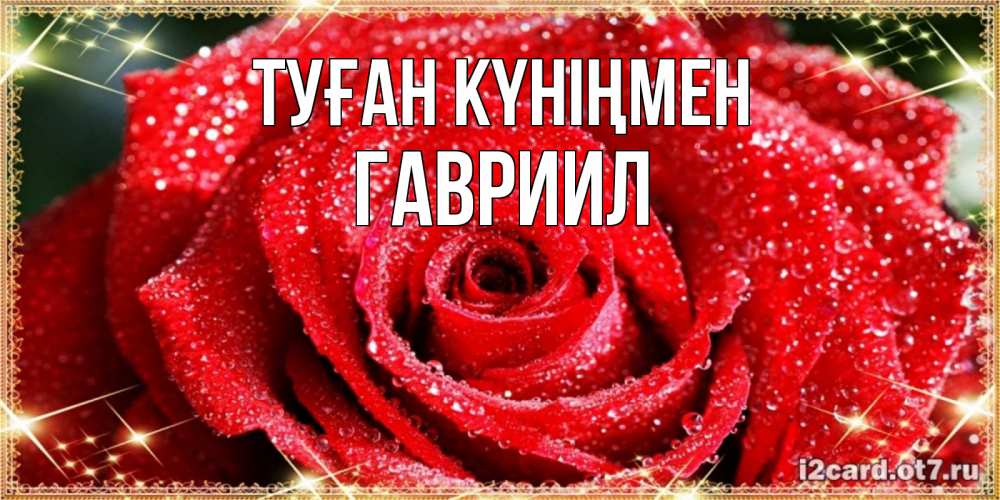 Күн сайын ашық хат с именем, Гавриил Туған күніңмен роса и роза. открытка с красивой розой Онлайн тегін жүктеп алу тілектері бар керемет карта 