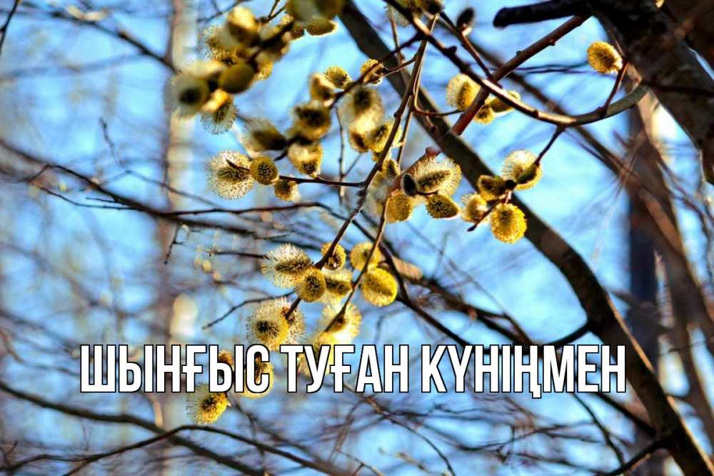 Картинка  с именем , ШЫНҒЫС! ТУҒАН КҮНІҢМЕН!