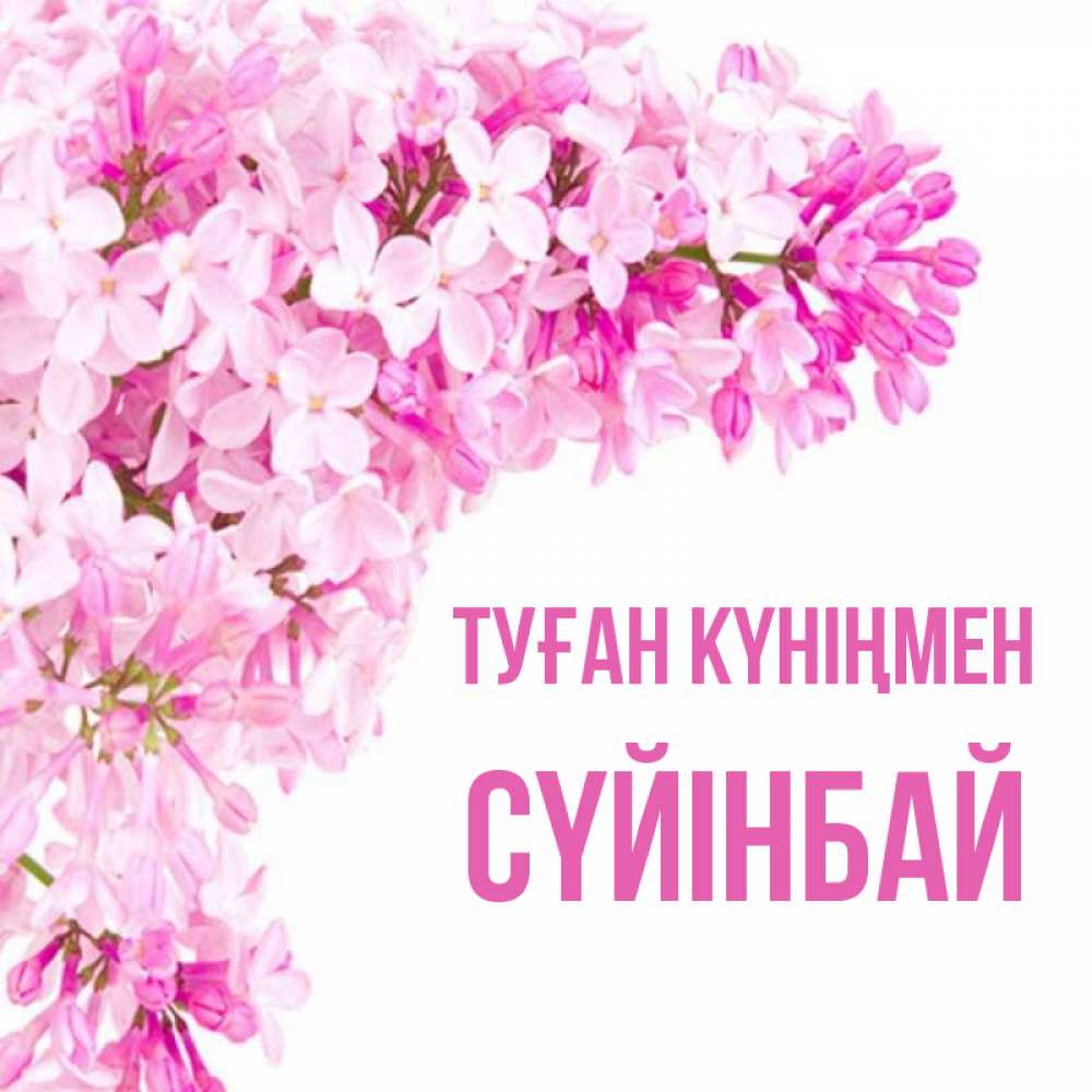 Күн сайын ашық хат с именем, СҮЙІНБАЙ Туған күніңмен Сирень на белом фоне Онлайн тегін жүктеп алу тілектері бар керемет карта 