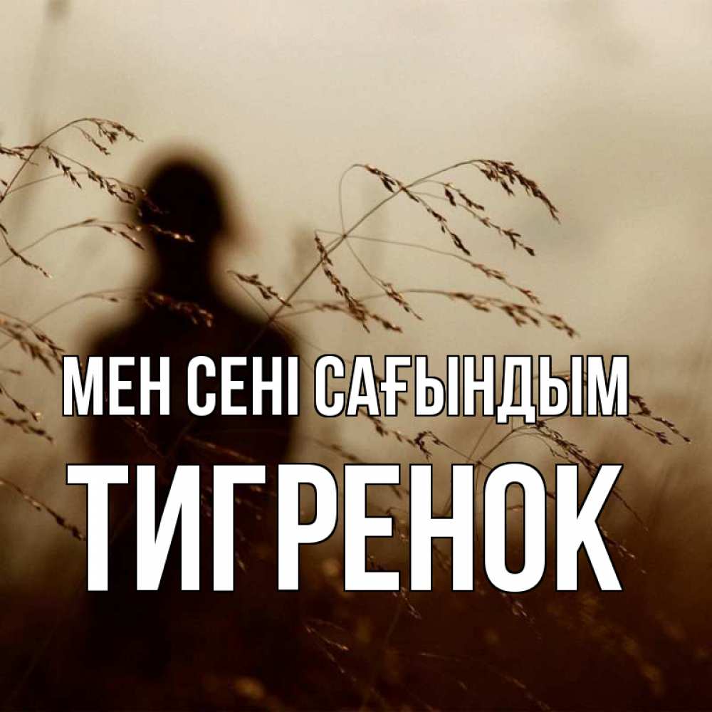 Күн сайын ашық хат с именем, Тигренок Мен сені сағындым силуэт девушки Онлайн тегін жүктеп алу тілектері бар керемет карта 