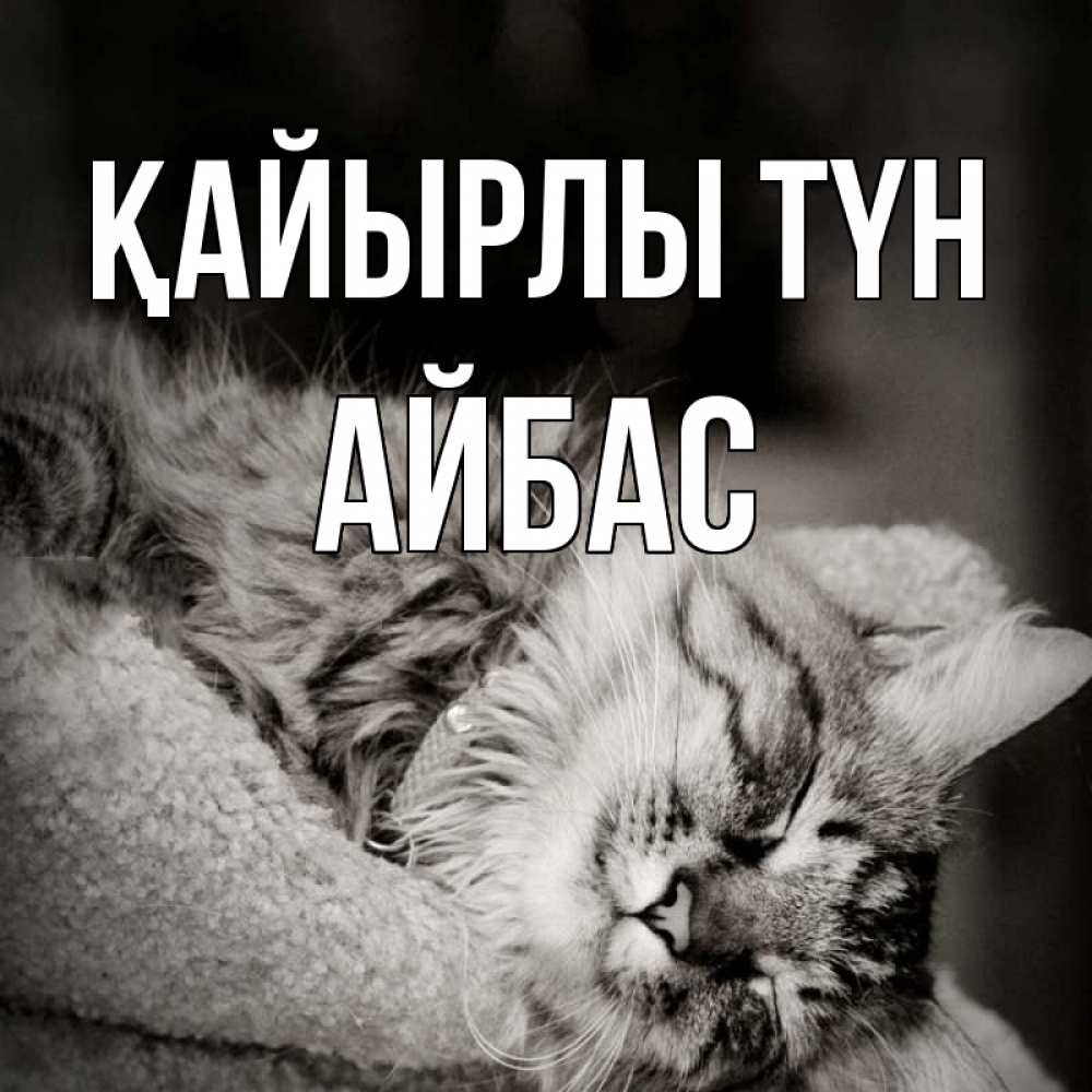 Күн сайын ашық хат с именем, Айбас Қайырлы түн котярик пушистый Онлайн тегін жүктеп алу тілектері бар керемет карта 