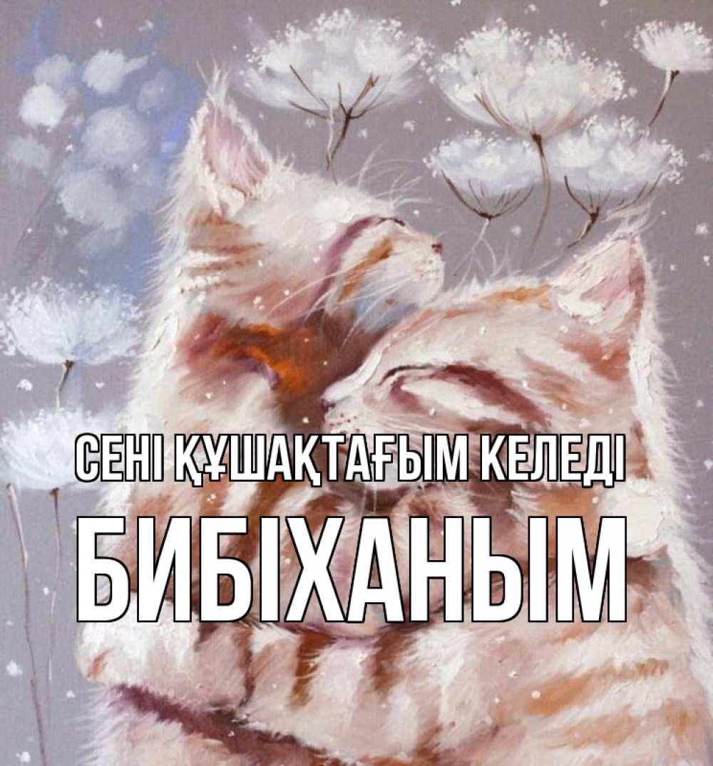 Күн сайын ашық хат с именем, БИБІХАНЫМ сені құшақтағым келеді Море и горы Онлайн тегін жүктеп алу тілектері бар керемет карта 