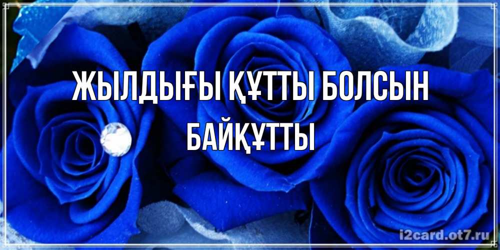 Күн сайын ашық хат с именем, Байқұтты Жылдығы құтты болсын синие розы в росе Онлайн тегін жүктеп алу тілектері бар керемет карта 