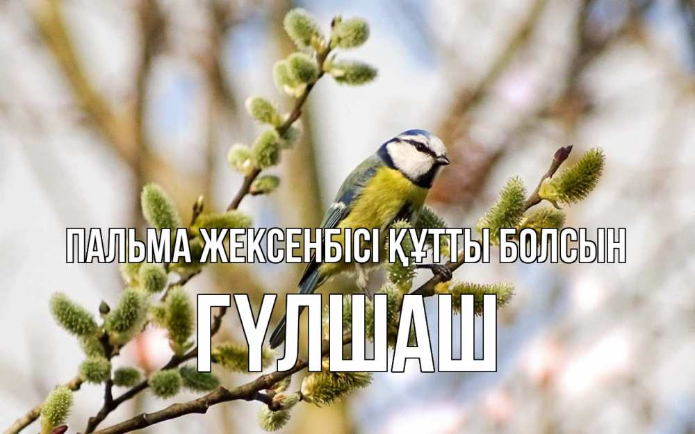 Күн сайын ашық хат с именем, ГҮЛШАШ Пальма жексенбісі құтты болсын верба Онлайн тегін жүктеп алу тілектері бар керемет карта 
