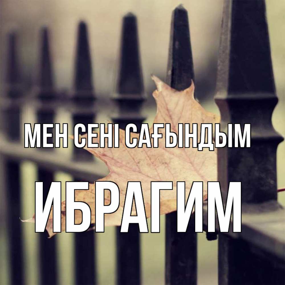 Күн сайын ашық хат с именем, Ибрагим Мен сені сағындым очень скучно Онлайн тегін жүктеп алу тілектері бар керемет карта 