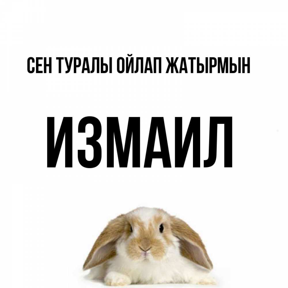 Күн сайын ашық хат с именем, Измаил Сен туралы ойлап жатырмын подписать своими руками онлайн Онлайн тегін жүктеп алу тілектері бар керемет карта 