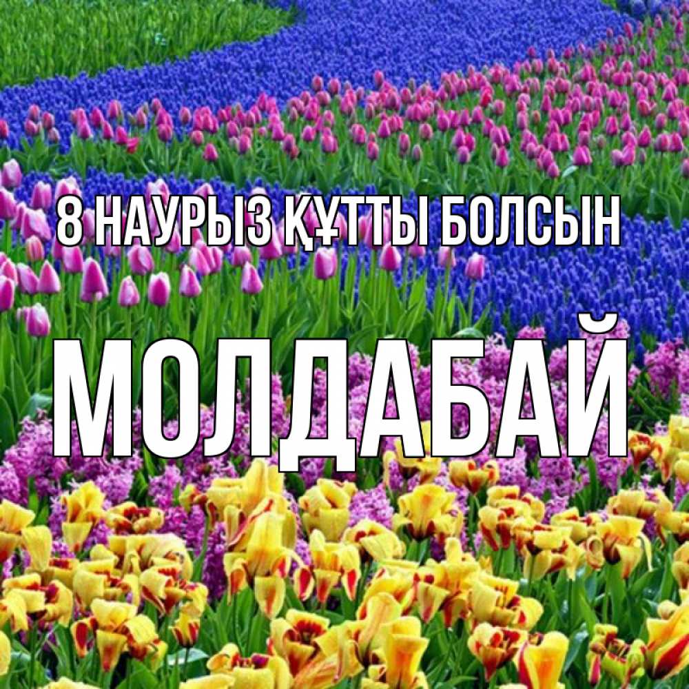 Күн сайын ашық хат с именем, МОЛДАБАЙ 8 наурыз құтты болсын цветы Онлайн тегін жүктеп алу тілектері бар керемет карта 