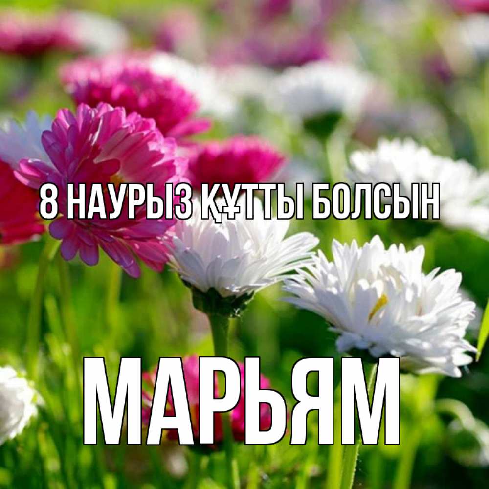 Күн сайын ашық хат с именем, Марьям 8 наурыз құтты болсын международный женский день 1 Онлайн тегін жүктеп алу тілектері бар керемет карта 