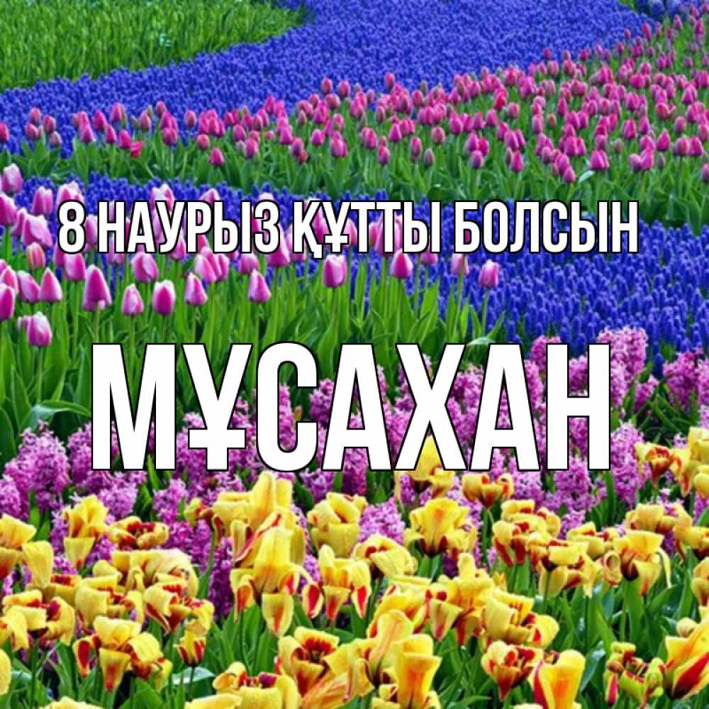 Күн сайын ашық хат с именем, Мұсахан 8 наурыз құтты болсын цветы Онлайн тегін жүктеп алу тілектері бар керемет карта 