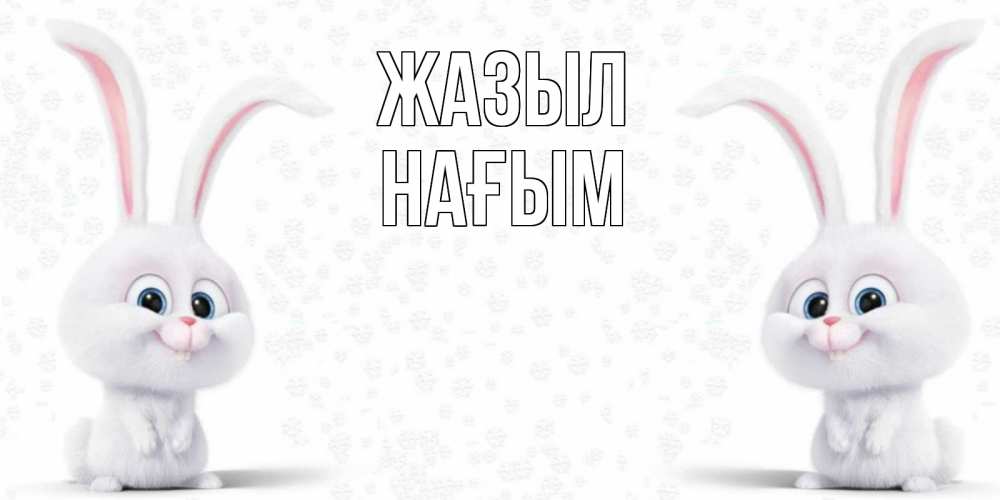 Күн сайын ашық хат с именем, НАҒЫМ Жазыл не болей с зайцем Онлайн тегін жүктеп алу тілектері бар керемет карта 