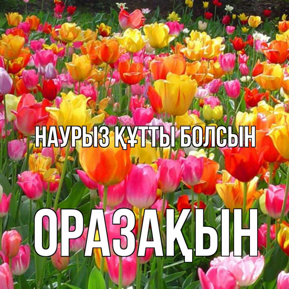 Күн сайын ашық хат с именем, ОРАЗАҚЫН Наурыз құтты болсын на наурыз  ура ура Онлайн тегін жүктеп алу тілектері бар керемет карта 